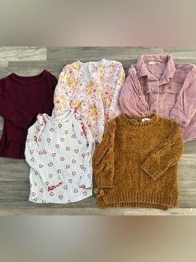 Girls winter top and sweater bundle 18-24 months sweaters